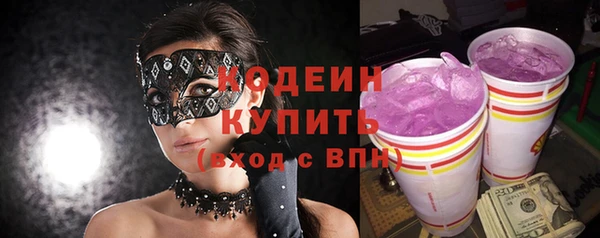 гидра Богородицк