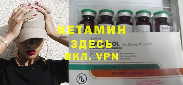 гидра Богородицк