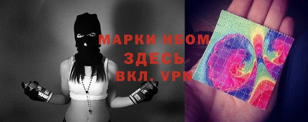 гашик Богданович