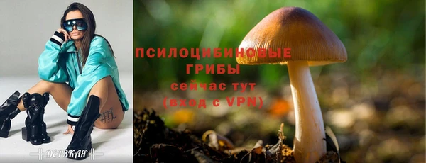 2c-b Бугульма