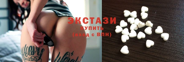 гидра Богородицк