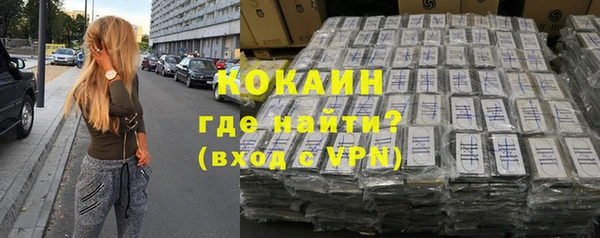 гашик Богданович