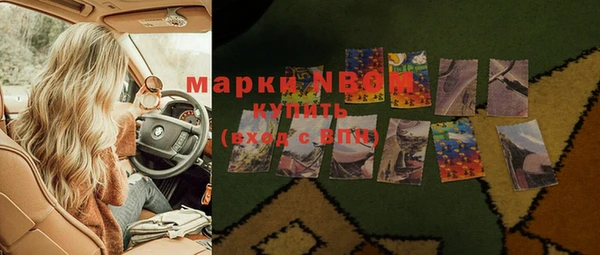 гидра Богородицк