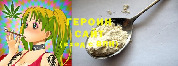 гидра Богородицк
