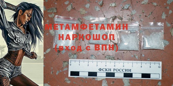 гидра Богородицк