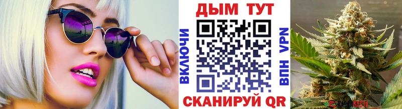 Каннабис OG Kush  Купить где  Уфа 